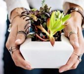 大宮 風俗バイト エステ